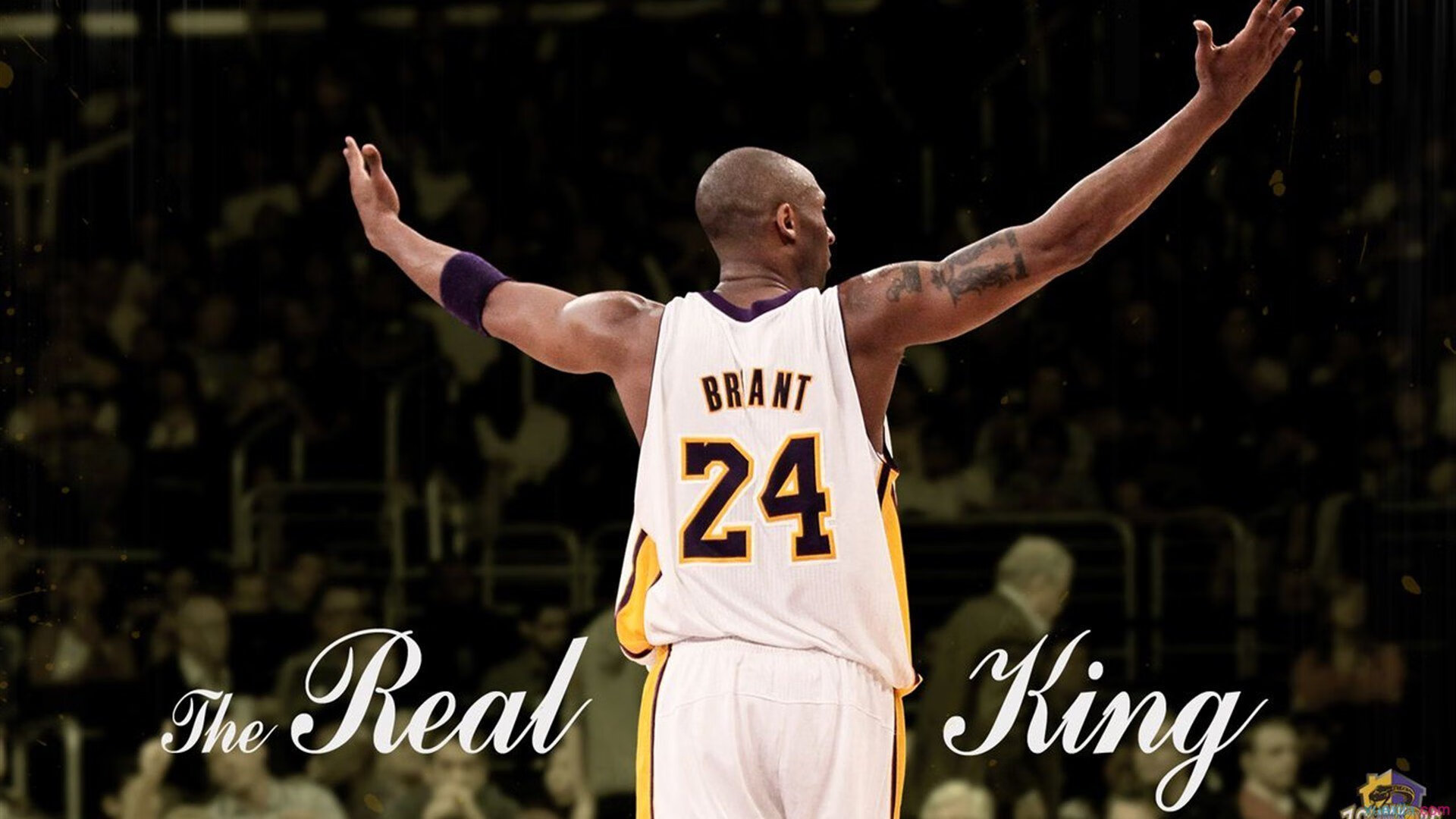 AG六连冠风暴持续扩散电竞统治力难被撼动，ag6.6去哪个战队了